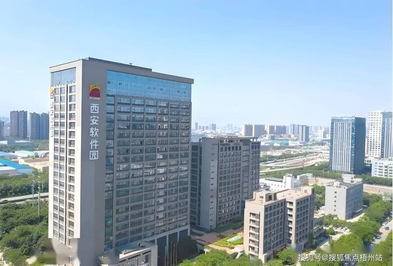 西安软件开发项目如何助力企业腾飞