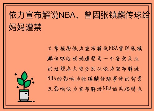 依力宣布解说NBA，曾因张镇麟传球给妈妈遭禁